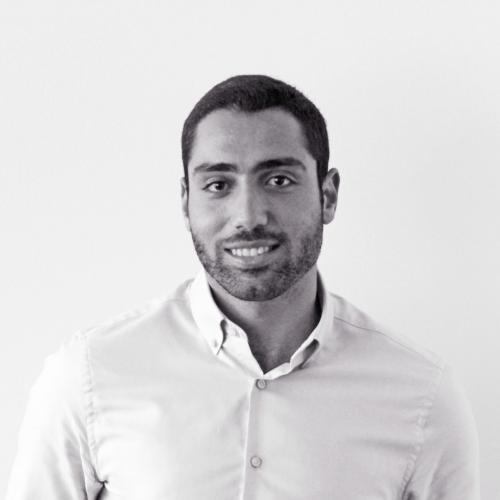 Raouf Tawfik